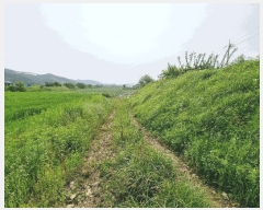  2025Ÿ��1098 ��� ���ֽ� ������ ��踮 326-12      ��Ÿ�������