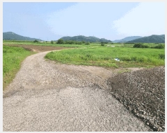  2025Ÿ��1098 ��� ���ֽ� ������ ��踮 326-12      ��Ÿ�������