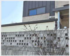  2025Ÿ��30096  ���ð��