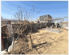  2025Ÿ��30096  ���ð��