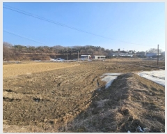  2025Ÿ��30195  ����