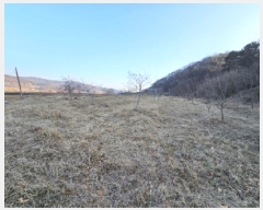  2025Ÿ��30232 ��� ���ֽ� �Ӽ��� ��õ�� 129-3      ����(��1)���