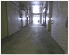  2025Ÿ��30348 ��� ���ֽ� �ִ��� â���� 176      ������