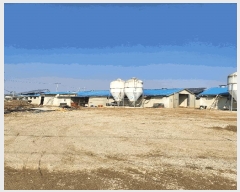  2025Ÿ��30358  ���(�󰡽ü�)���