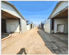  2025Ÿ��30358  ���(�󰡽ü�)���