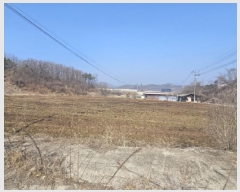  2025Ÿ��30376 ��� ���ֽ� ������ ���ɸ� 432      ����(��)���