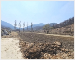  2025Ÿ��30427 ��� ���ֽ� �Ӽ��� ���縮 503      ����(��)���