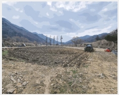  2025Ÿ��30427 ��� ���ֽ� �Ӽ��� ���縮 503      ����(��)���