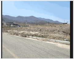  2025Ÿ��30439  ����