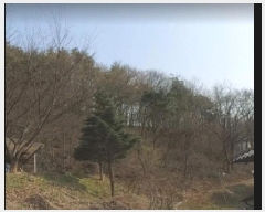  2025Ÿ��30465 ��� ������ ����� ��õ�� 108-50      ����(�Ӿ�)���