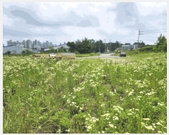  2025Ÿ��30591  �Ӿ߰��