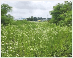  2025Ÿ��30591  �Ӿ߰��