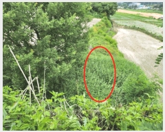  2025Ÿ��30591  �Ӿ߰��