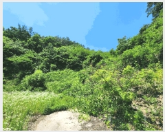  2025Ÿ��30606  �Ӿ߰��