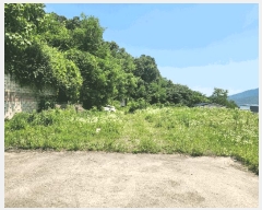  2025Ÿ��30606  �Ӿ߰��