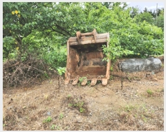  2025Ÿ��30774 ��õ ����Ȧ�� ���߷�36���� 6 1�� (���ǵ�)     �������