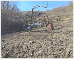  2025Ÿ��132 ��� ���ֽ� ���¸� ��ź�� 504-1      ����(��)���