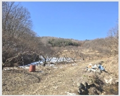  2025Ÿ��132 ��� ���ֽ� ���¸� ��ź�� 504-1      ����(��)���