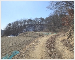  2025Ÿ��132 ��� ���ֽ� ���¸� ��ź�� 504-1      ����(��)���