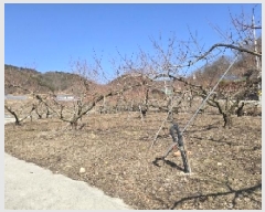  2025Ÿ��132 ��� ���ֽ� ���¸� ��ź�� 504-1      ����(��)���