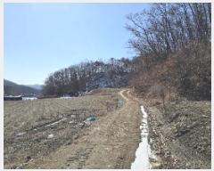  2025Ÿ��132 ��� ���ֽ� ���¸� ��ź�� 504-1      ����(��)���