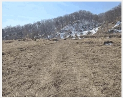  2025Ÿ323   Ｚ ߸ 151-4      (Ӿ)