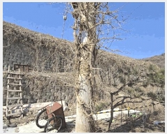  2025Ÿ323   Ｚ ߸ 151-4      (Ӿ)