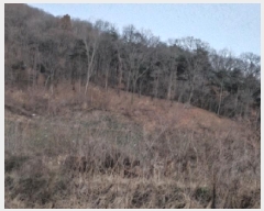  2025Ÿ323   Ｚ ߸ 151-4      (Ӿ)