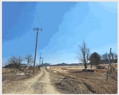  2025Ÿ��361  â�����