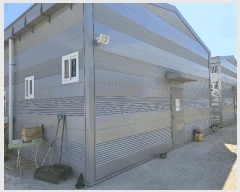  2025Ÿ��361  â�����