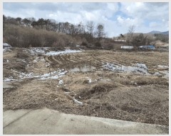  2025Ÿ408   ̸ 긮 176-1      ()