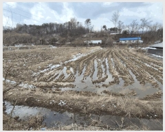  2025Ÿ408   ̸ 긮 176-1      ()