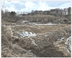  2025Ÿ408   ̸ 긮 176-1      ()