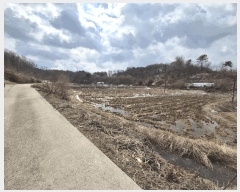  2025Ÿ408   ̸ 긮 176-1      ()