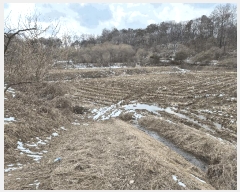  2025Ÿ408   ̸ 긮 176-1      ()