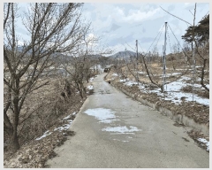  2025Ÿ408   ̸ 긮 176-1      ()