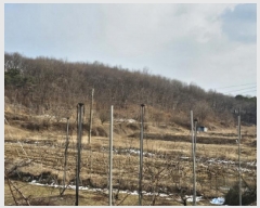  2025Ÿ408   ̸ 긮 176-1      ()