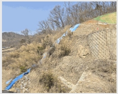  2025Ÿ545  ֽ  24-22       (Ӿ)