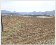  2025Ÿ��705 ��� ������ ���̸� �Ĺ̸� 116      ����(��1)���