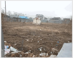  2025Ÿ743     356-6      ()