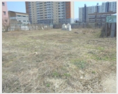  2025Ÿ743     356-6      ()