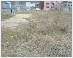  2025Ÿ743     356-6      ()