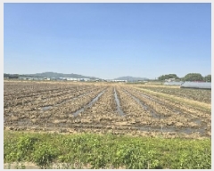  2025Ÿ��941 ��� ������ ��Ҹ� ������ 327-1      ����(��)���