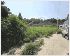  2025Ÿ��965 ��� ������ �ݿ��� ���踮 604      ����,â�����