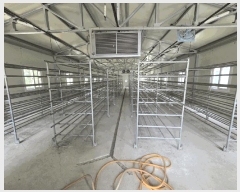  2025Ÿ��965 ��� ������ �ݿ��� ���踮 604      ����,â�����