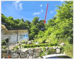  2025Ÿ��1104  �Ӿ߰��