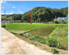  2025Ÿ��1104 ��� ���ֽ� ���� 406       ����(��1)���