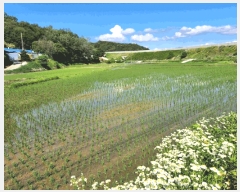  2025Ÿ��1104 ��� ���ֽ� ���� 406       ����(��1)���