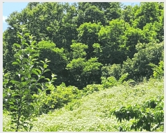  2025Ÿ��1104 ��� ���ֽ� ���� 406       ����(��1)���