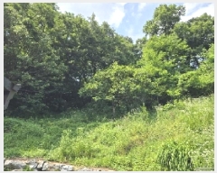  2025Ÿ��1104 ��� ���ֽ� ���� 406       ����(��1)���